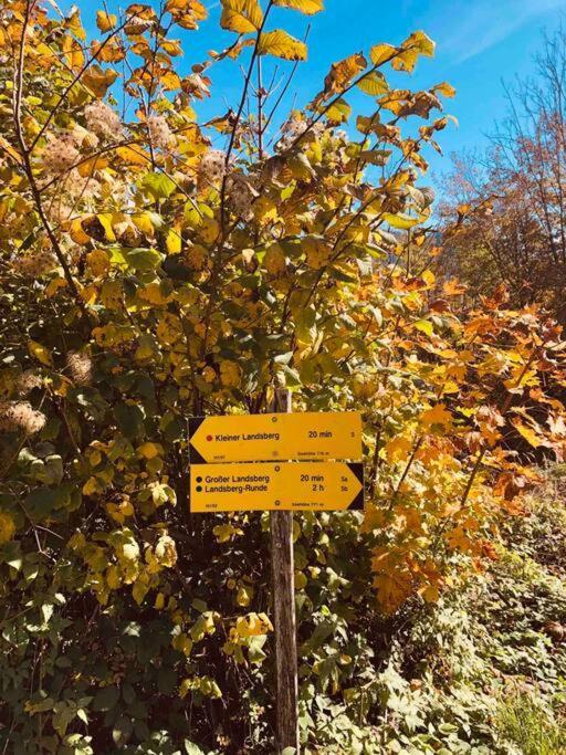 Ferienhof Am Landsberg Obergrünburg المظهر الخارجي الصورة