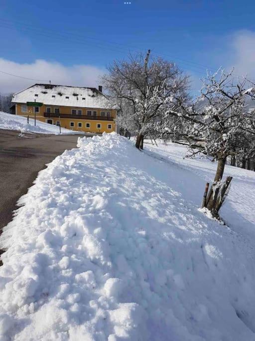 Ferienhof Am Landsberg Obergrünburg المظهر الخارجي الصورة